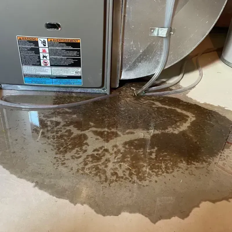 Appliance Leak Cleanup in Catahoula Parish, LA